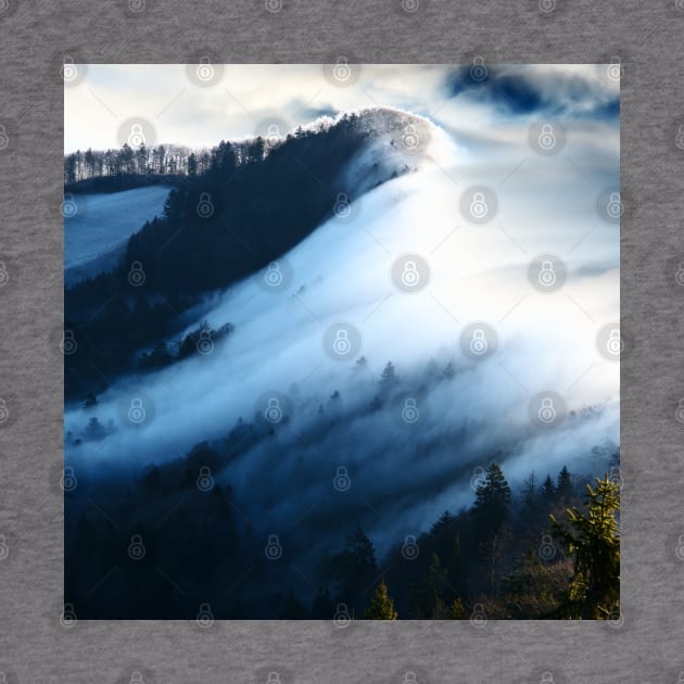 SCENERY 08 - Winter Snow Forest Mountain Frost White Ice by artvoria